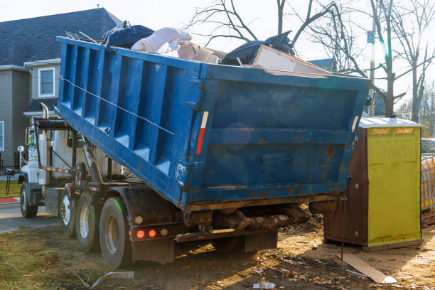 Best Shed Removal  in Royal Oak, MI